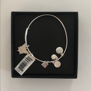 Alex and Ani charm bracelet